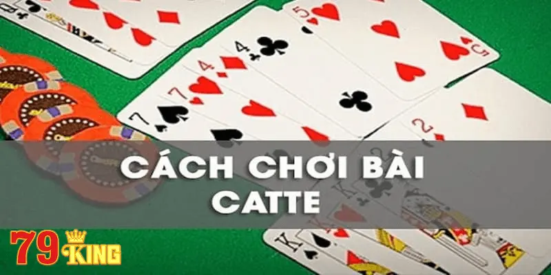 Kinh Nghiệm Đánh Game Bài Catte Hiệu Quả Từ Các Chuyên Gia Tại 79king